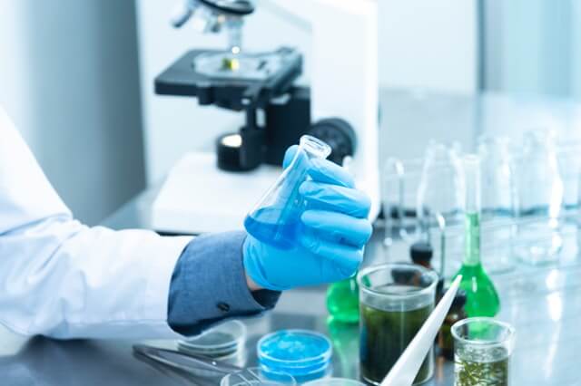 research6 research6